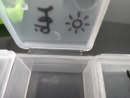 یادآور دارو اف.تی.ای.کو کد 002