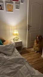 میز پاتختی مدل CHR-001