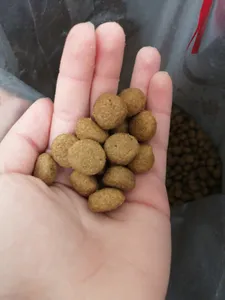 تجریه خرید غذای خشک سگ سلبن مدل large adult n وزن 10 کیلوگرم