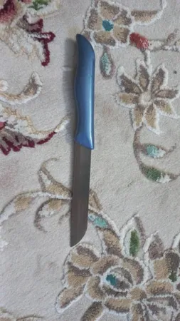 چاقو آشپزخانه زولینگن مدل فاردینکس