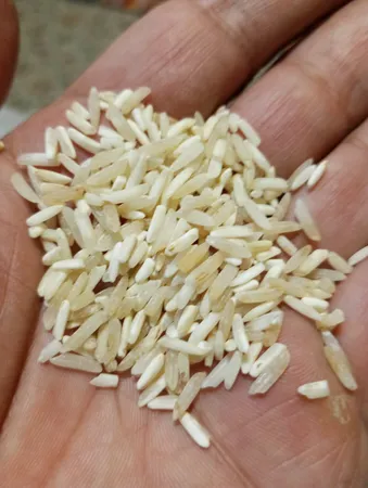 برنج دودی پر محصول ایرانی نسل نورانی - 10 کیلوگرم