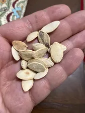 تجریه خرید تخمه کدو گوشتی چاپار مقدار 400 گرم