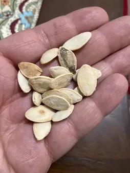 تخمه کدو گوشتی چاپار مقدار 400 گرم