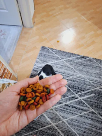 عکس ارسالی خریدار