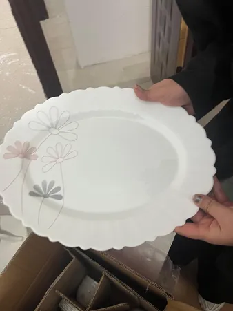 سرویس غذاخوری 25 پارچه 6 نفر آیروپال مدل  اودیسه