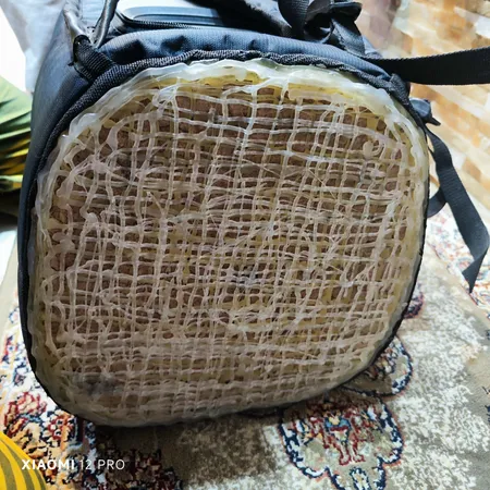 کیف حمل اسپیکر مدل S02 مناسب برای اسپیکر JBL PartyBox 110