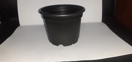 گلدان مدل ژله ای کد A_12 مجموعه 24 عددی