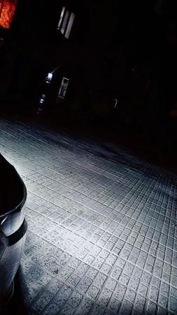 لامپ هدلایت خودرو مدل D9h11 بسته 2 عددی