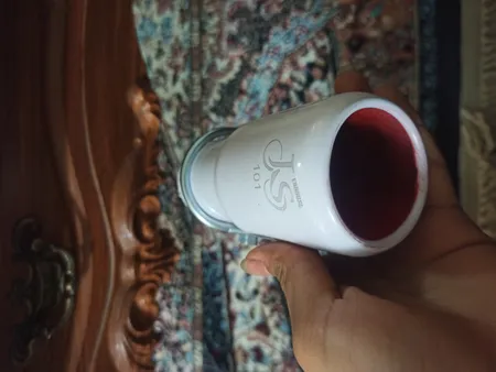 سراگزوز خودرو مدل dan0020