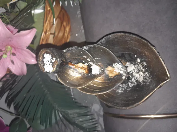 عکس ارسالی خریدار
