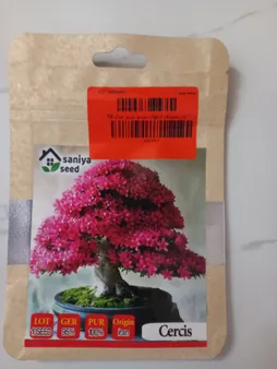 بذر بنسای ارغوان سانیا سید مدل S6