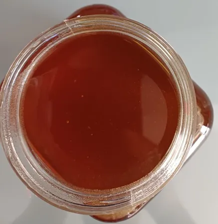 عسل طبیعی سبلان آویشن کوهی خام الماس کوهستان - 1 کیلوگرم