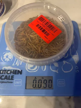 غذای خشک ماهی کینگ ورم مدل میلورم MWF65 وزن 65 گرم