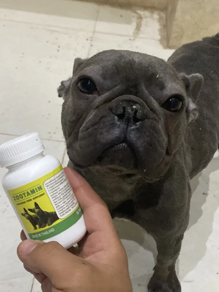 مکمل غذای سگ زوتامین کد 01 وزن 45 گرم