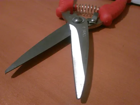 قیچی باغبانی کورال مدل 02