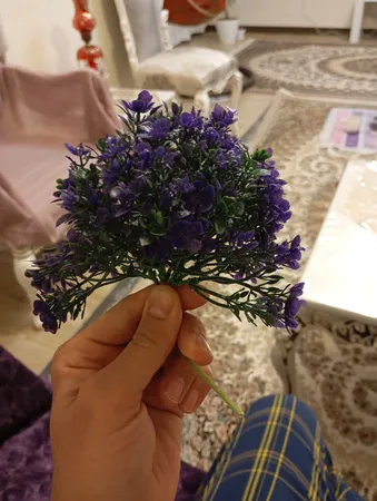 گیاه تزیینی آکواریوم آکوا مارس کد B09