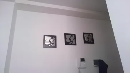 تابلو آینه ۳ تکه سالی وان مدل NS40