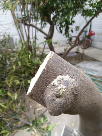 اره باغبانی سامورایی مدل G-R