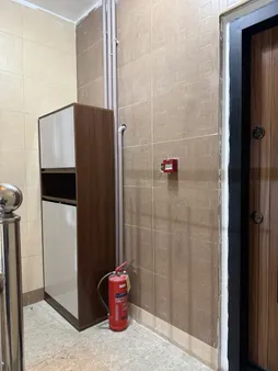 جاکفشی مدل رویان