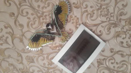 استیکر چوبی آتینو طرح عقاب