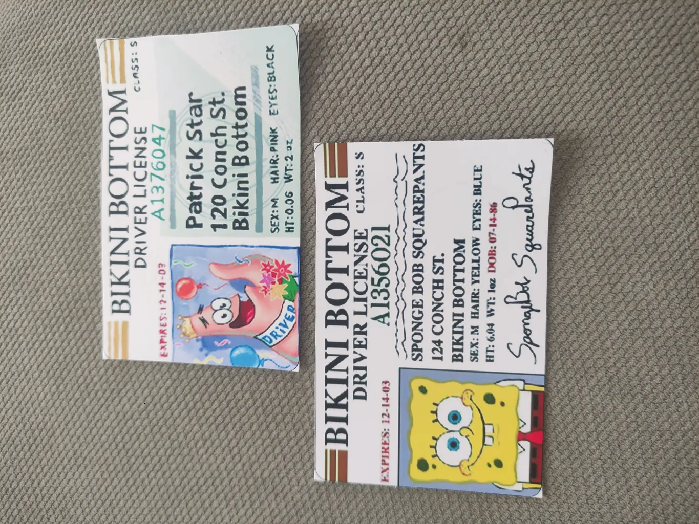 استیکر کارت رایسان طرح گواهینامه باب اسفنجی و پاتریک کد sc0028 مجموعه 2 عددی