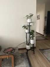 تجریه خرید استند گلدان دکومرآت مدل مارپیچ