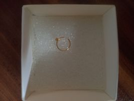 پیرسینگ بینی زنانه پایتخت مدل PS1046