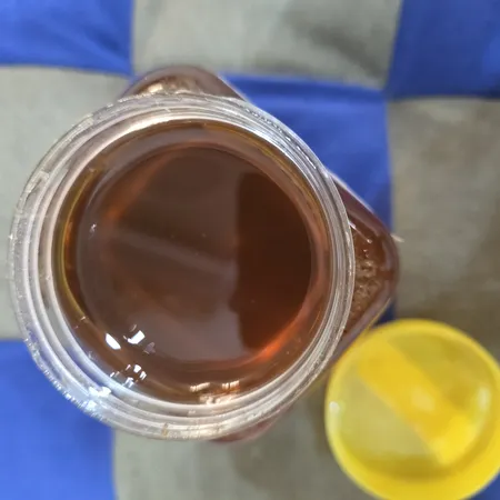 عسل طبیعی چهل گیاه خام سبلان الماس کوهستان - 1 کیلوگرم