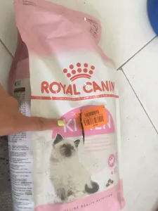 تجریه خرید غذای خشک بچه گربه رویال کنین مدل Kitten وزن 2 کیلوگرم
