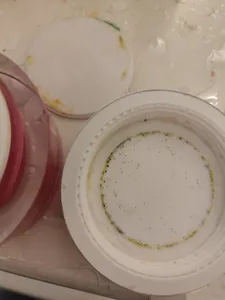 تجریه خرید کرم ژل ضد چروک درماسیف مدل ویتا درم حجم 50 میلی لیتر