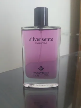 ادو پرفیوم مردانه وودی سنس مدل Silver Scent حجم 100 میلی لیتر