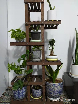 استند گلدان مدل Mt012