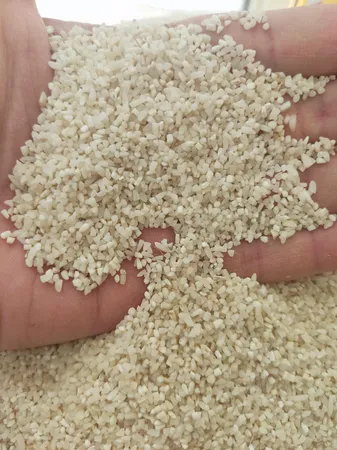 برنج ریزدانه هاشمی گیلان ورف - 10 کیلوگرم