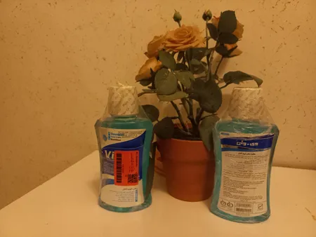 دهان شویه وی وان مدل General Cool Mint حجم 330 میلی لیتر