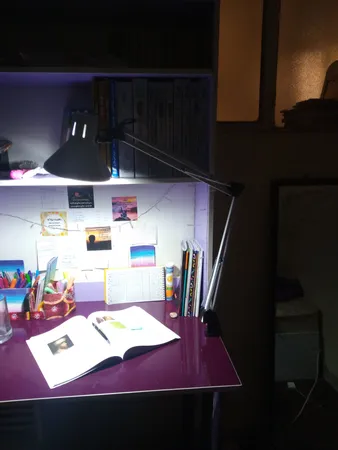 چراغ مطالعه صنایع کریم زاده مدل EN-101