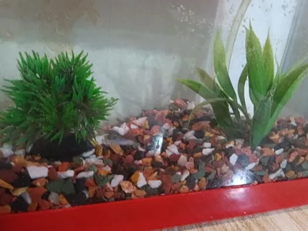 سنگ تزیینی آکواریوم مدل 5col وزن 1کیلوگرم