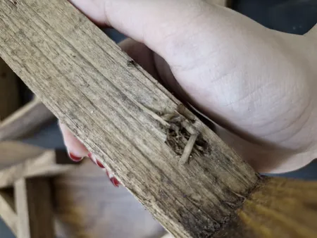 شلف دیواری سنجاب وود مدل sw14