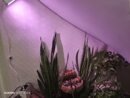 وال واشر ال ای دی رشد گیاه 6 وات مدل LP1001-6W