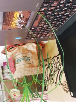 استیکر لپ تاپ توییجین و موییجین طرح شعر فارسی کد 02 مناسب برای لپ تاپ 15.6 اینچ به همراه برچسب حروف فارسی کیبورد