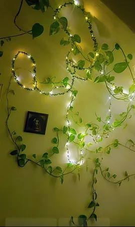 ریسه ال ای دی طرح Leaf طول 5 متر