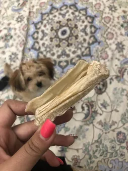 تشویقی سگ طرح استخوان مدل 10cm