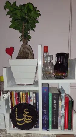 کتابخانه رومیزی مدل کاکتوس