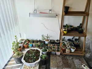 تجریه خرید وال واشر رشد گیاه 100 وات پارلین مدل B100