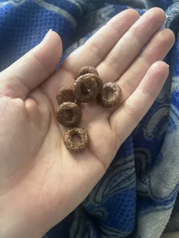 غلات صبحانه حلقه ای کاکائويی چي توز - 375 گرم