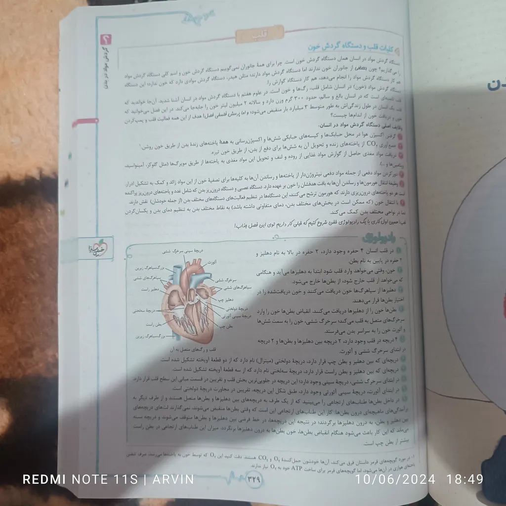 کتاب پرسش های چهار گزینه ای زیست شناسی دهم ویژه کنکور 1406 اثر جمعی از نویسندگان انتشارات خیلی سبز