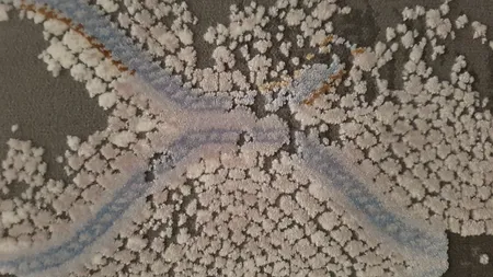 فرش ماشینی طرح colorful کد CO08 زمینه طوسی کرم