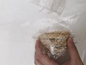 تجریه خرید غذای پرنده مدل ارزن خوشه ای کد 20104 بسته 5 عددی