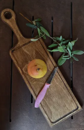 کارد میوه خوری بیوتی کد 01 بسته 12 عددی