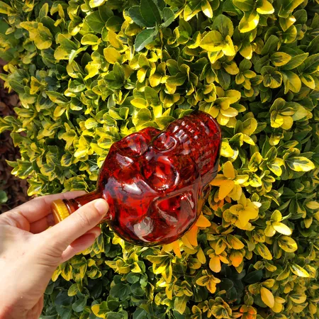 بطری مدل اسکلت شیشه ای