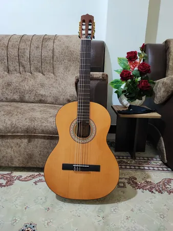 گیتار پارسی مدل M2